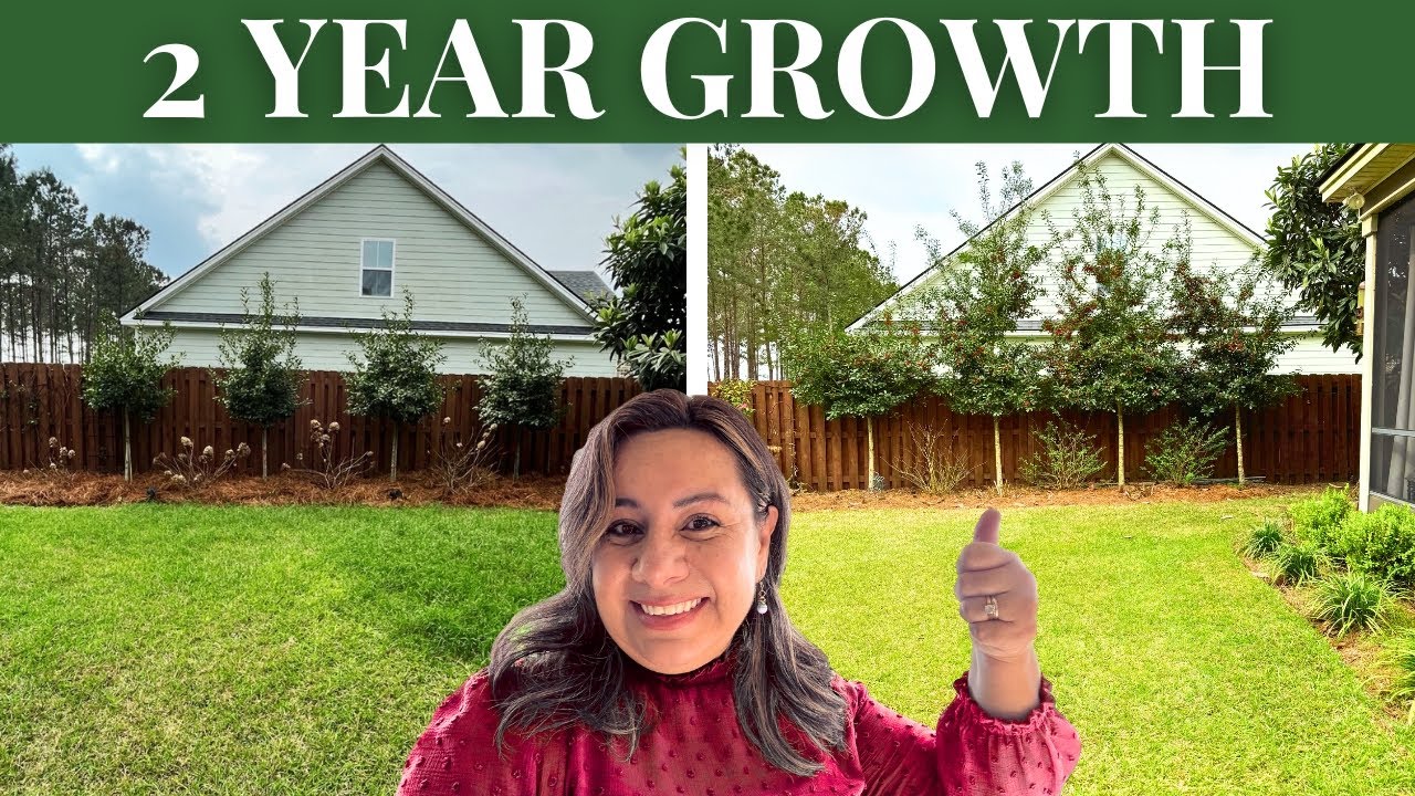 These privacy trees grew this fast!