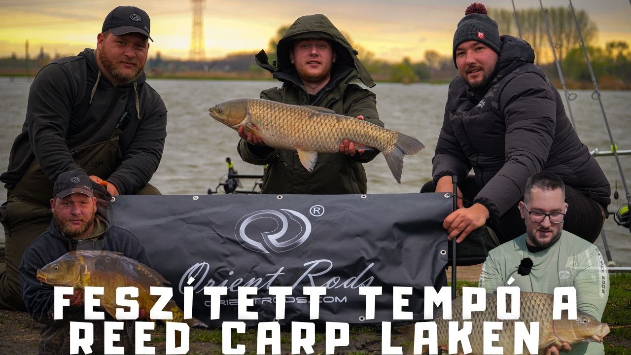 Az Orient Rods csapata a Reed Carp Laken!
