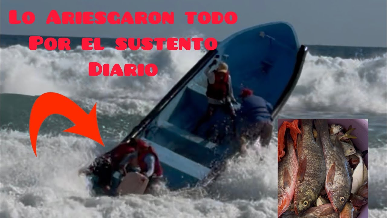 Desafiando las Grandisimas Olas por salir Acacturar todos estos Peces 
