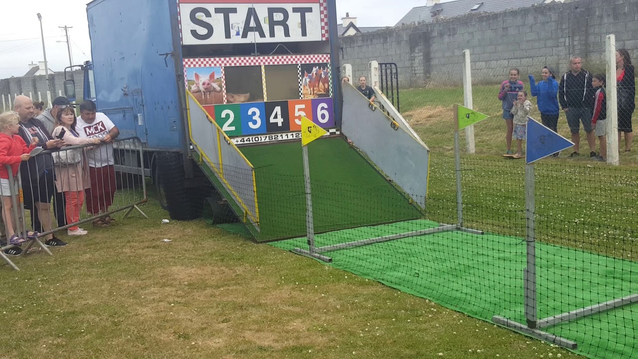 Pig racing Ballyheigue.2018.