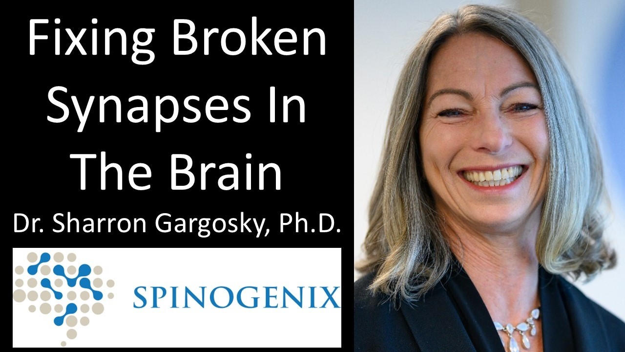 Reversing Brain Disorders - Synaptic Regeneration And Correction Explained  - Dr. Sharron Gargosky