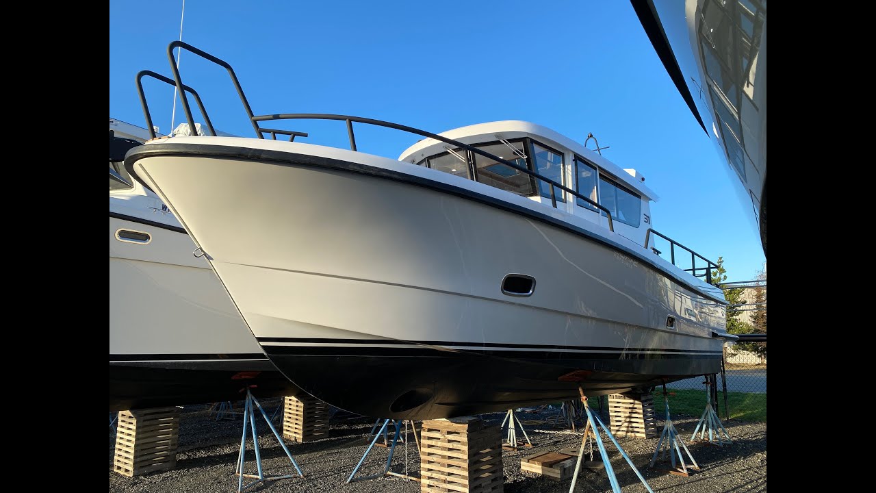IPYS - 2021 SARGO 31