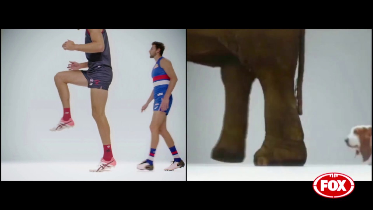 Fox Footy x RSPCA | For all players and animals great and small | Split Screen