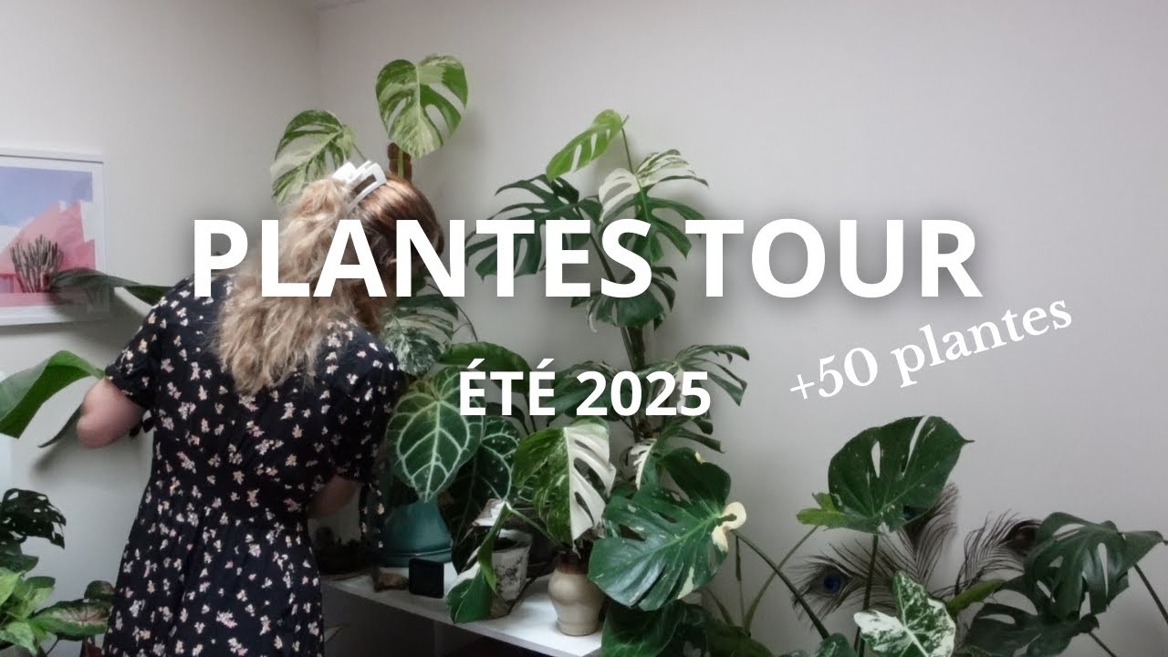 PLANTES TOUR ÉTÉ 2025 | pièce à plantes +50 plantes
