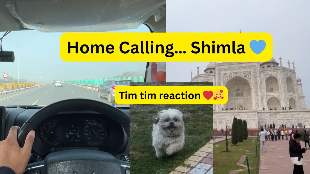 Going Back to My Hometown Shimla | Homecoming Vlog 🏔️
