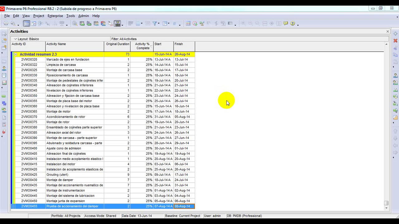 Cambio masivo de Activity ID en Primavera P6