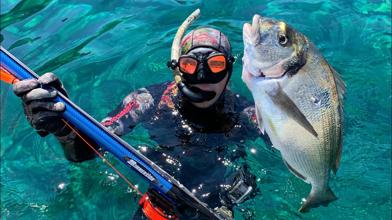 CHASSE SOUS MARINE EN CORSE AOUT 2022 4K