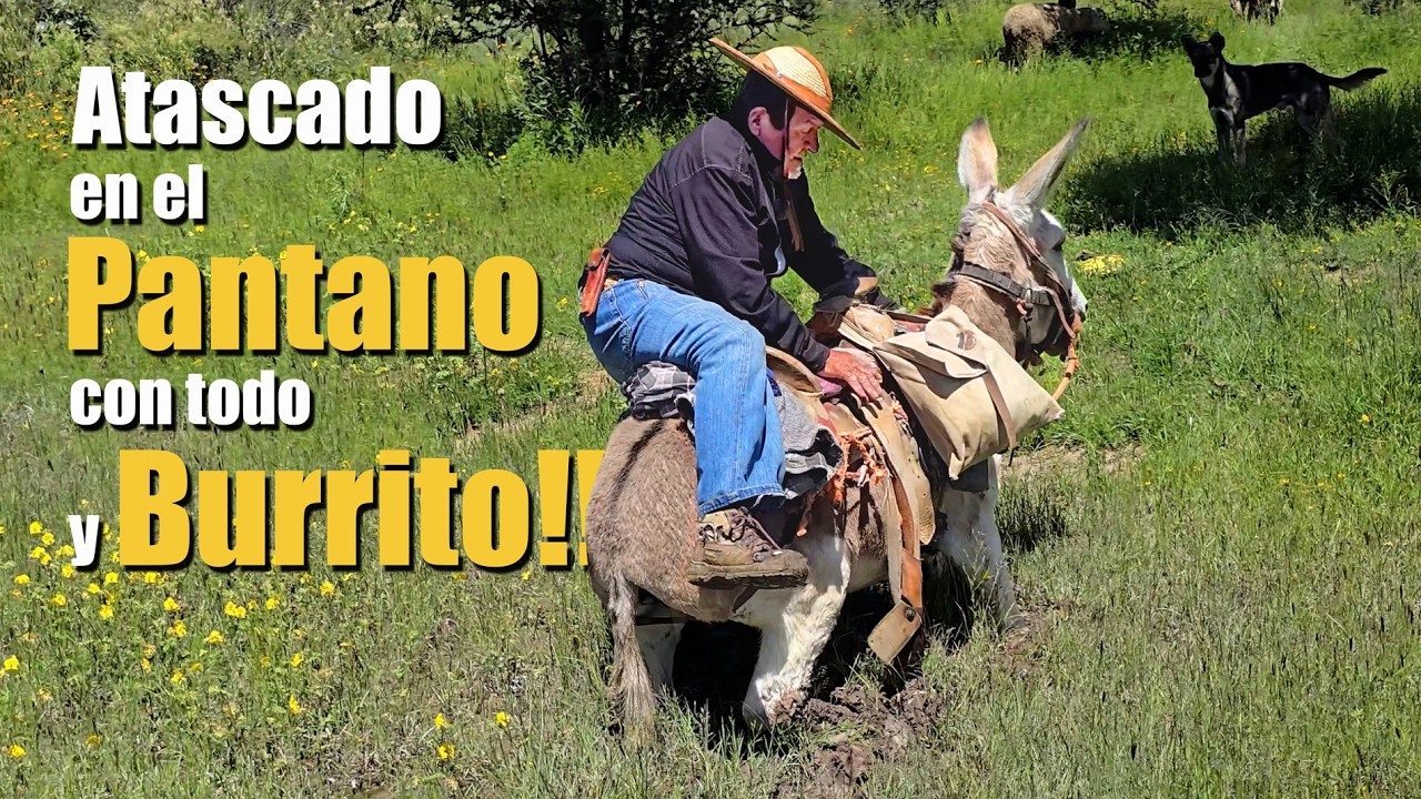 Los RIESGOS del terreno PANTANOSO
