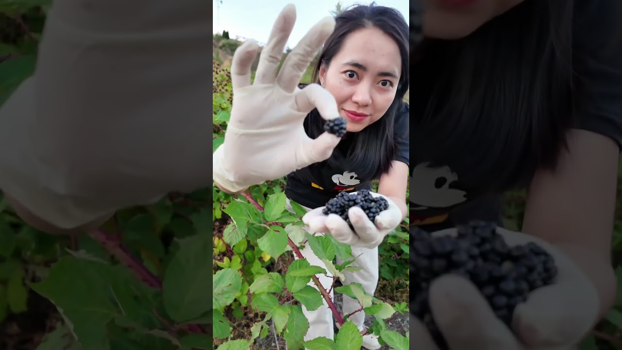 L&agrave;m thợ hồ ở Mỹ? #cuocsongmy #dinhcumy #duhocmy #vietkieu #chipicuocsongmy #nguoivietomy