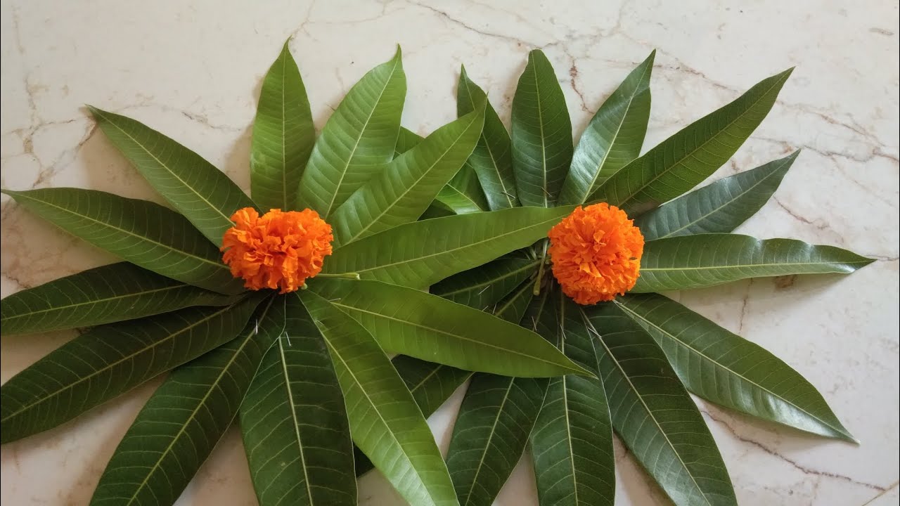 दिवाळीची सुरूवात तोरणाने करुया। फुलाचे तोरण।