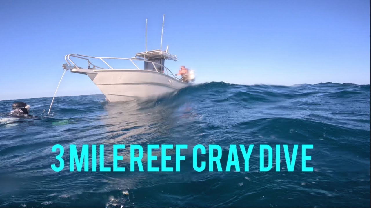 3 Mile Reef Lobster Dive