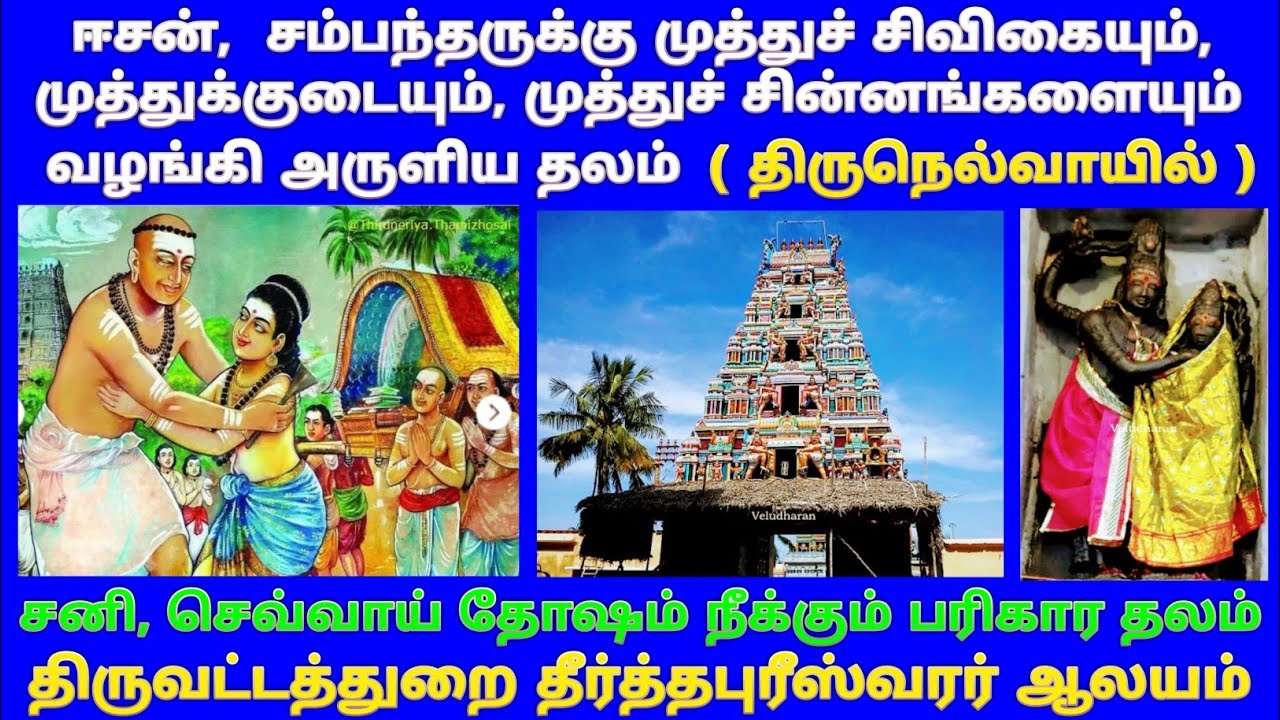 திருவட்டத்துறை தீர்த்தபுரீஸ்வரர் ஆலயம், கடலூர் / Thiruvattathurai  Sivan Temple / திருநெல்வாயில்