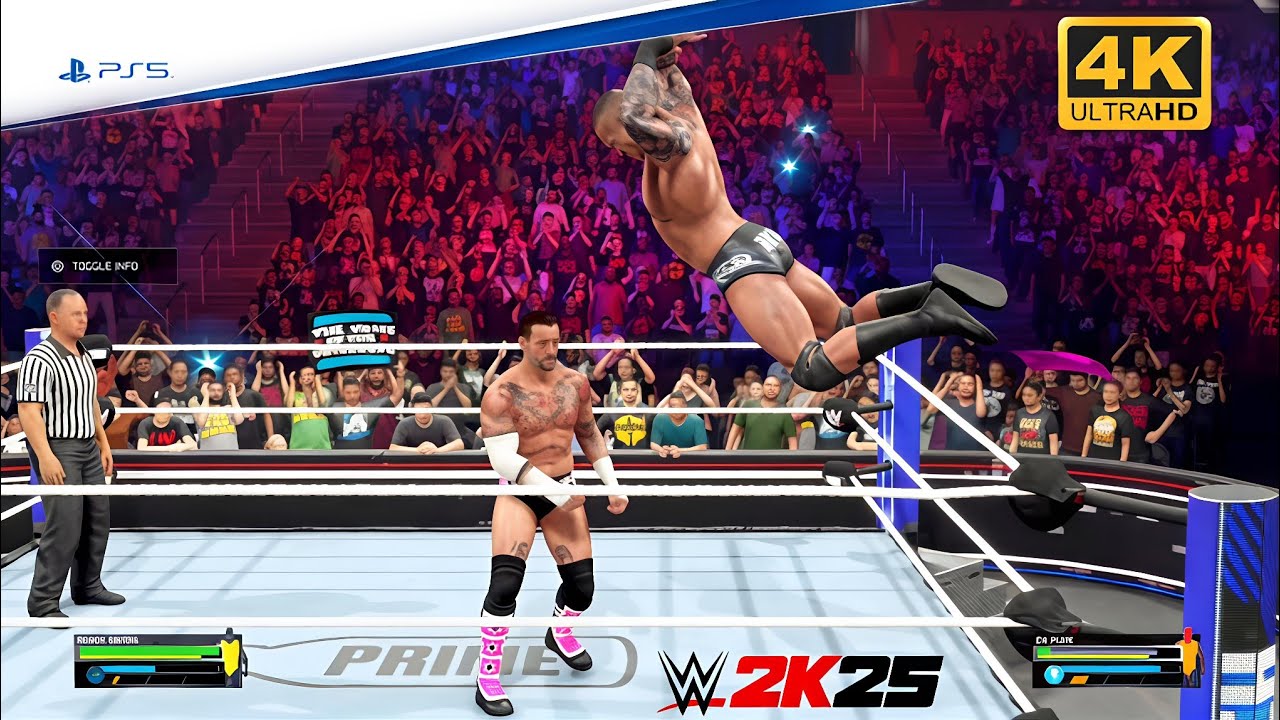 Randy Orton vs CM Punk 🔥 Viper Meets Best in the World | WWE 2K25 Dream Match