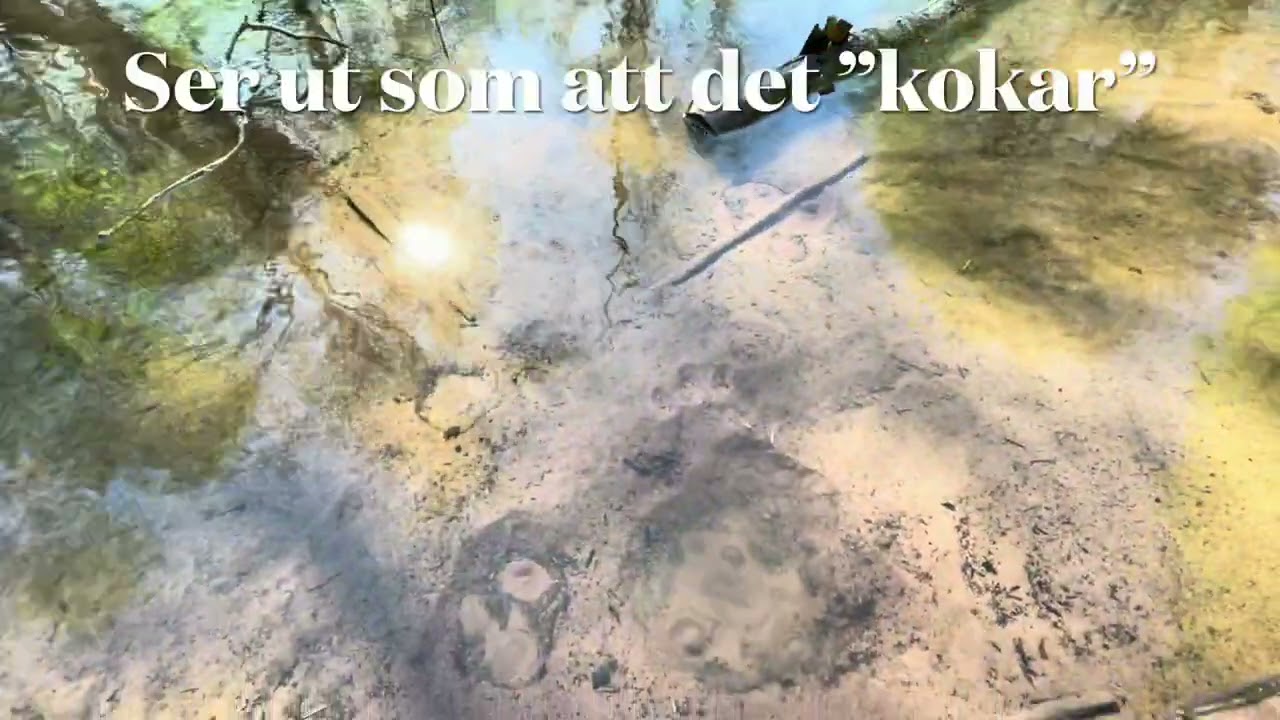 Springkällan vid Stora Tuna kyrka. Grundvatten under eget tryck. Geologen Mange Magister!