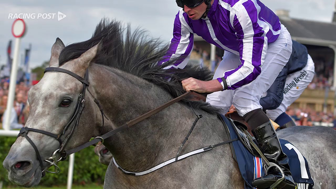 Kevin Buckley on the WH Stayers' Million Series