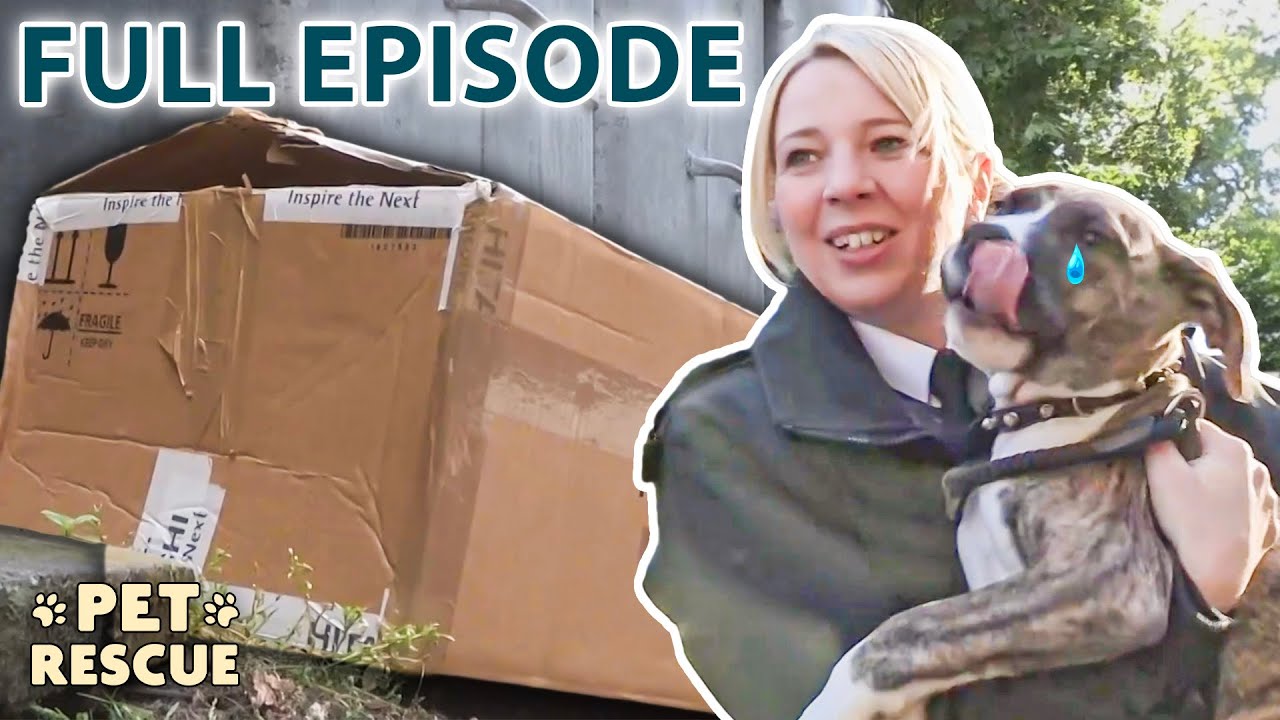 Rescuing a Puppy Who Was Thrown Out With the Trash! | The Dog Rescuers - Season 2 Episode 8