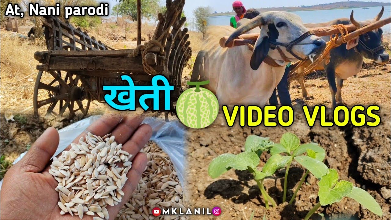 Lili Chari Song 2025 | खेती 🍈 Kheti ☘️ Vlogs | Video| At, Nani parodi | mklanil