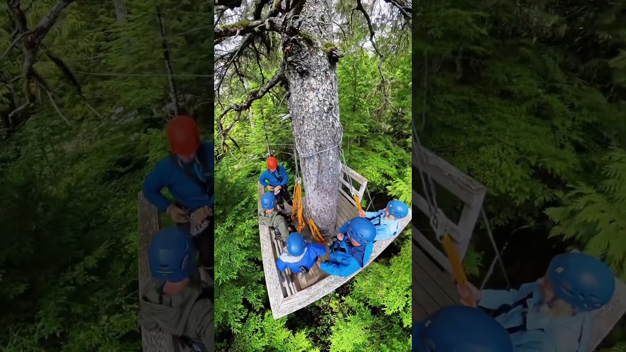 Ketchikan Zip Line Adventure Park!