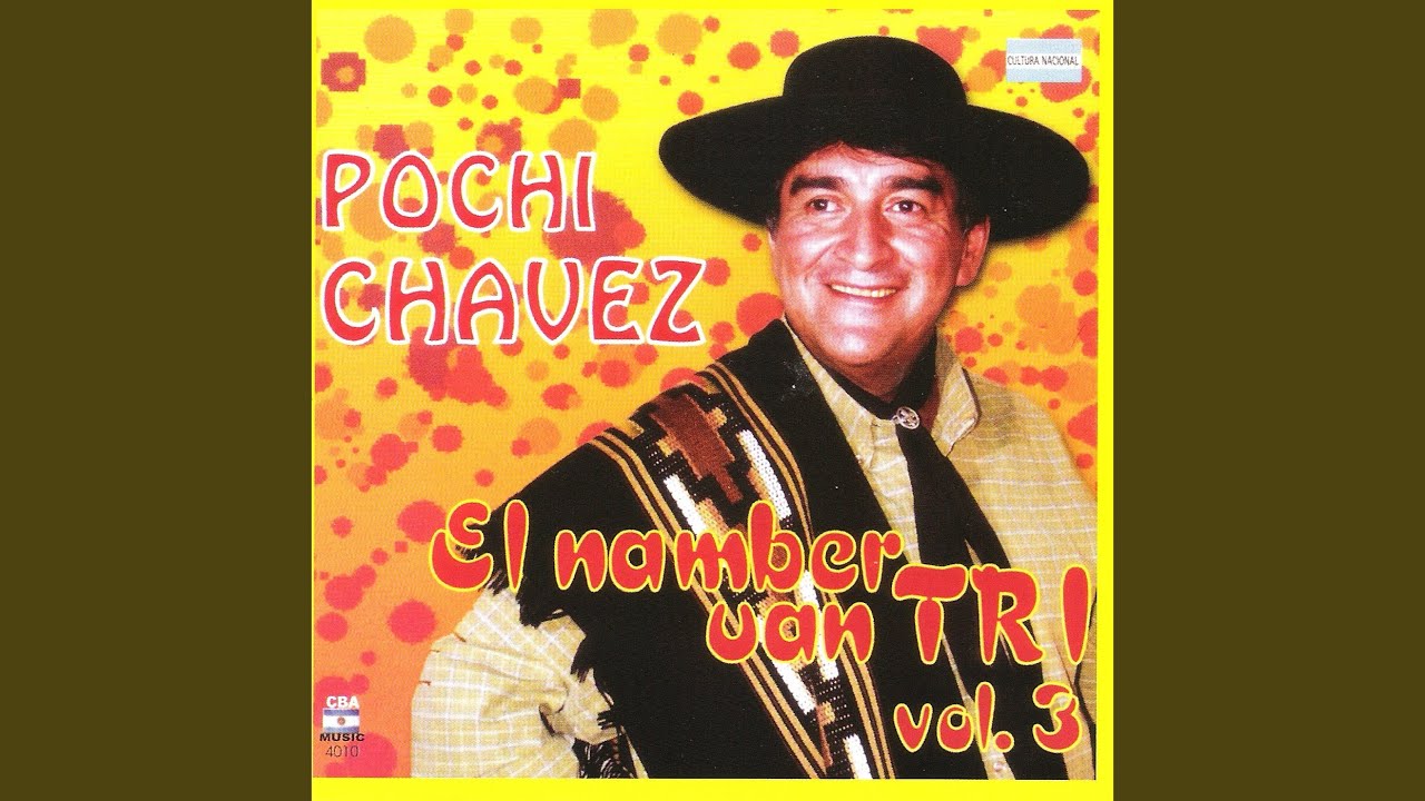 Detector de Ladrones