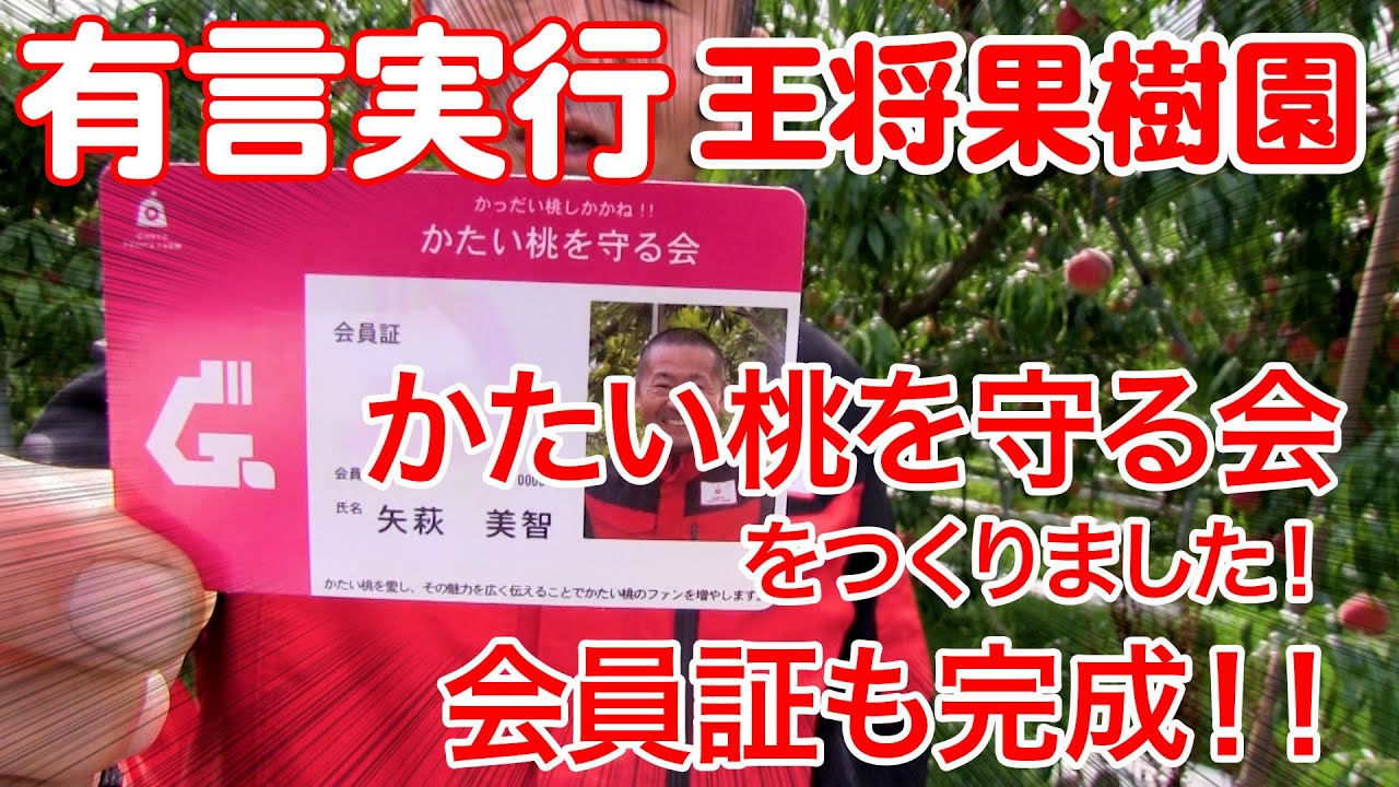 王将果樹園　有言実行　かたい桃を守る会をつくりました。　会員証も完成！