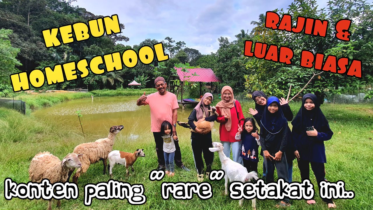 ✅️ UMUR 8 TAHUN SUDAH BINA RUMAH KEBUN SENDIRI. HEBAT MAMA Q3