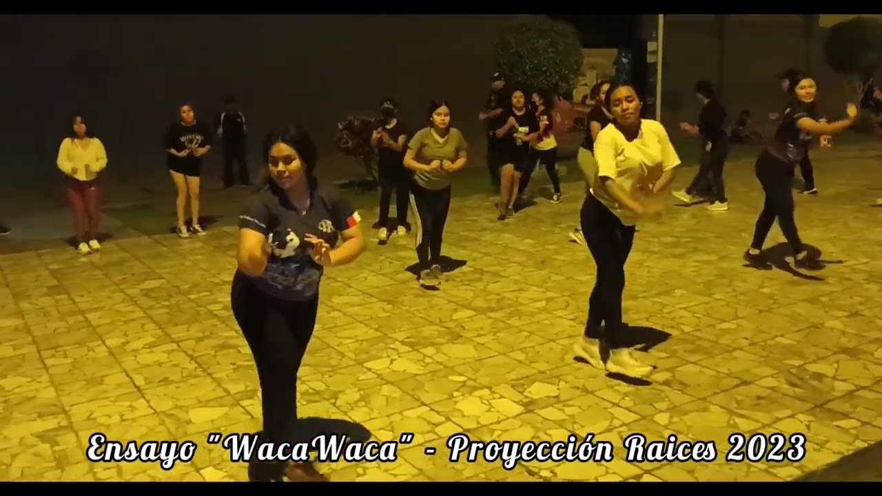 Ensayo 
