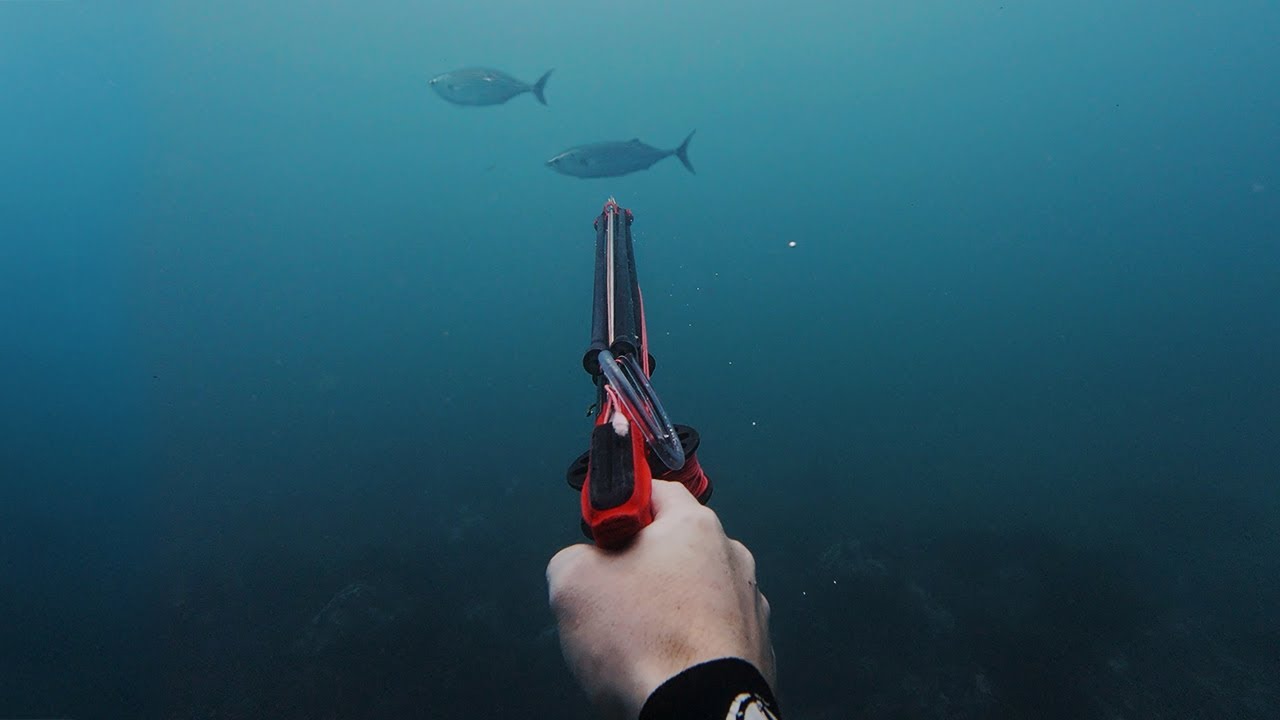 Remote Solo Spearfishing and Foraging Campfire Catch and Cook Australia