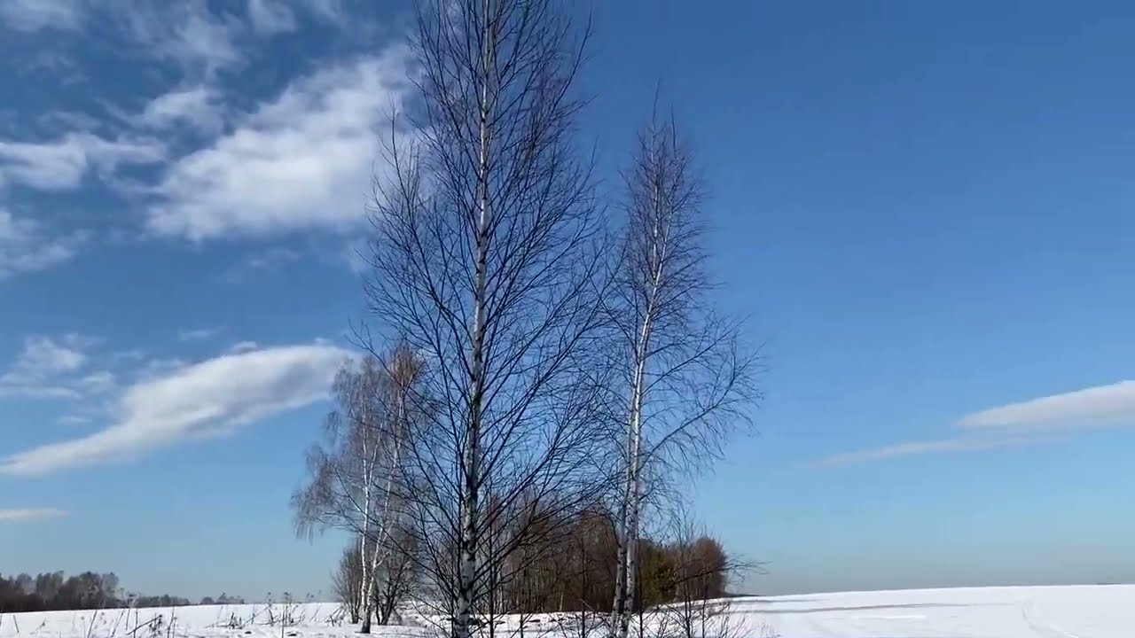 р.Северка. Часть 5. Острожки - Матчино
