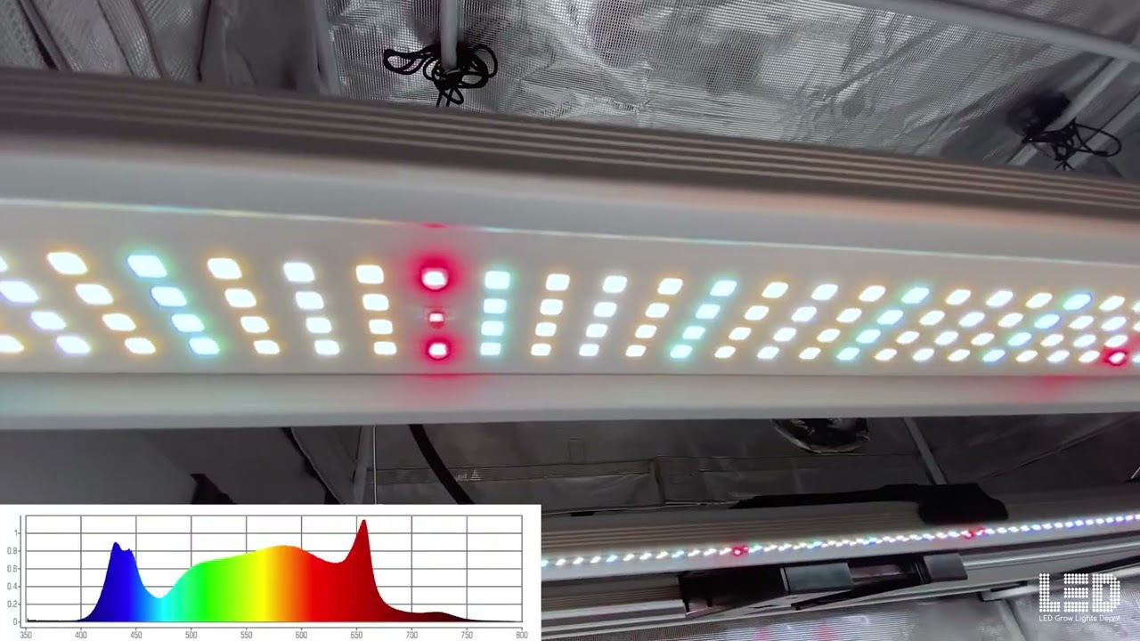 Mammoth Lighting Mint White Grow Light Review by ledgrowlightdepot.com