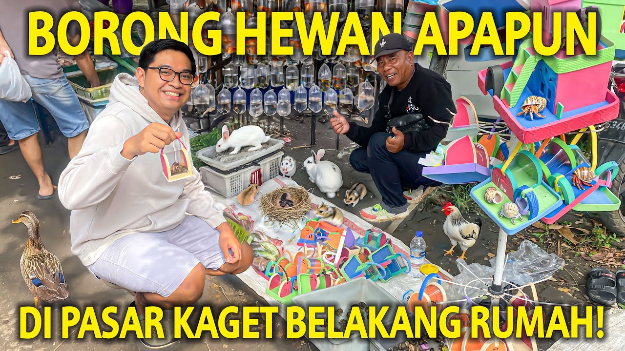 BORONG HEWAN APAPUN YANG KITA TEMUIN DI PASAR KAGET DEKET RUMAH! UDAH 2 TAHUN LEBIH GAK KESINI