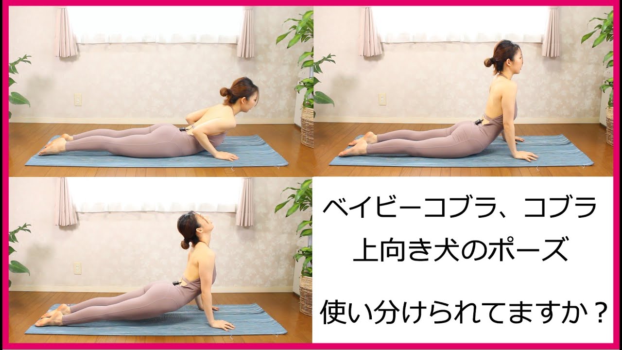 【How to】コブラのポーズと上向き犬のポーズの違い【太陽礼拝シリーズ】