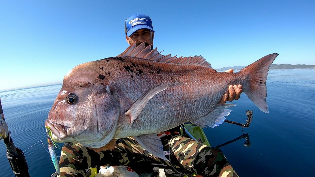 Slow Jigging. Sama, Brotola, Bocinegro perdido.. con Black Sardine Slow jig