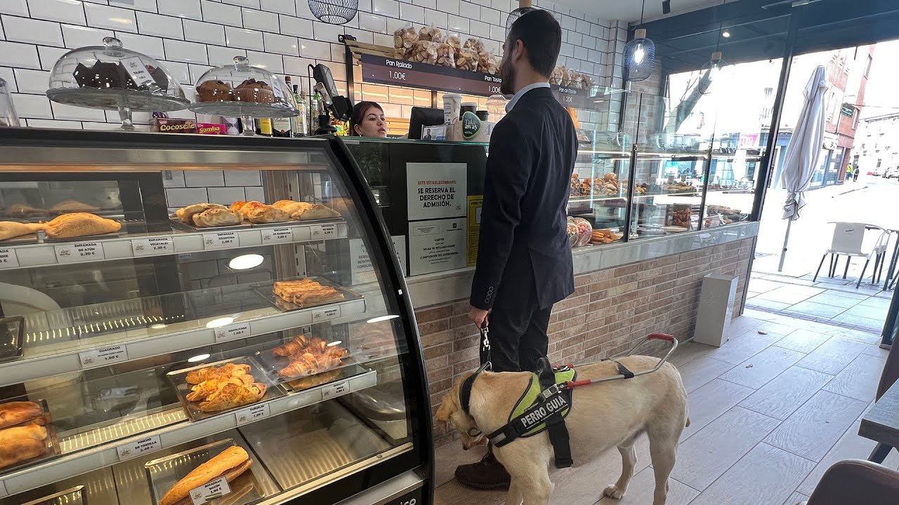 Los perros guía de la ONCE reclaman su derecho de acceso a establecimientos de restauración
