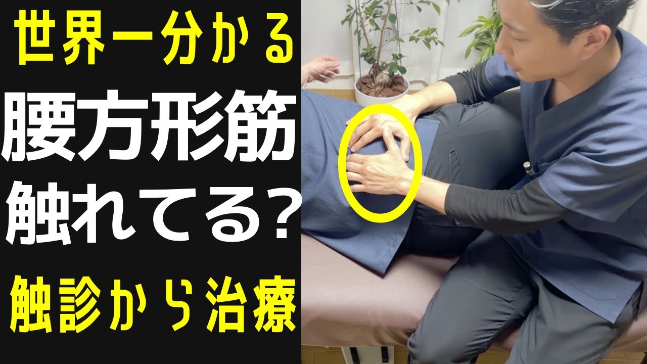 【触診から治療】腰方形筋触れてる？「世界一分かりやすい！」