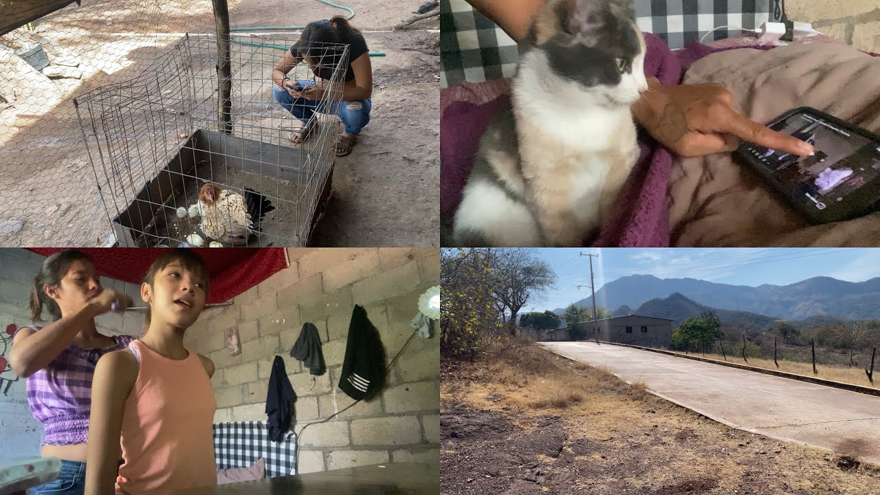 ￼ Les platico por qué tomé esta decisión🥹￼ ala gatita , nada más, le falta hablar😂