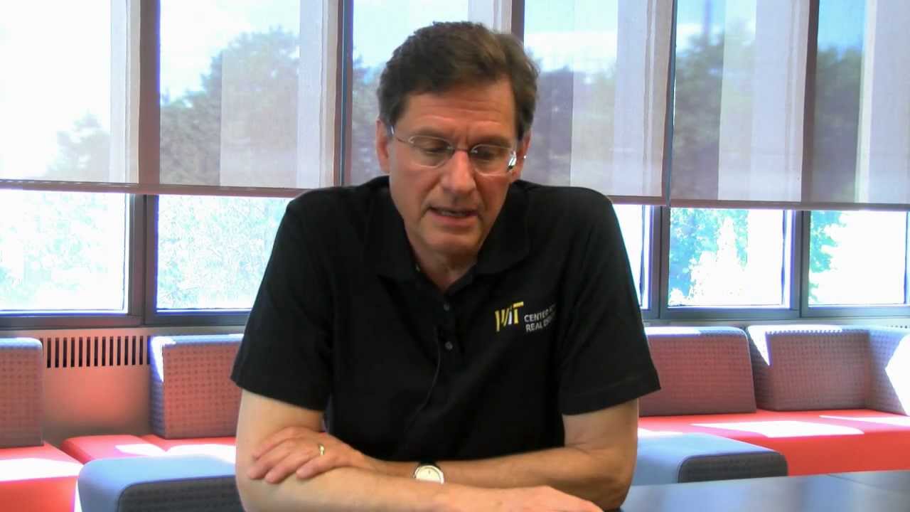 Professor David Geltner
