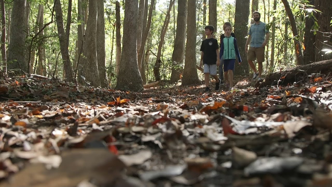 Nags Heads Woods Preserve | North Carolina Weekend | UNC-TV