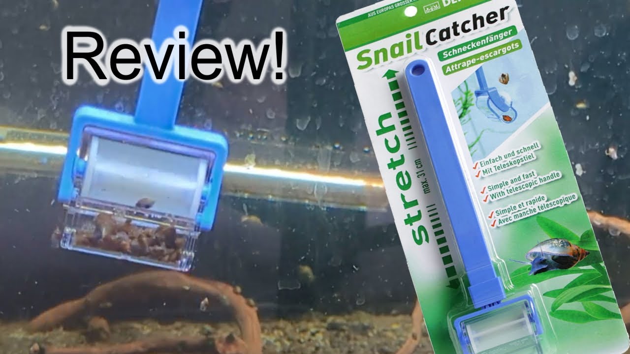 Pest Snail Removal Tool -  REVIEW!!