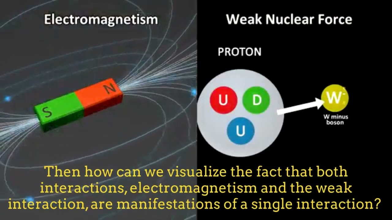 The Electroweak interaction: The unification of the electromagnetic and the weak interactions