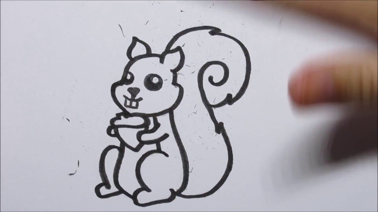 🐿 Zo teken je een cartoon eekhoorn! (In stappen)