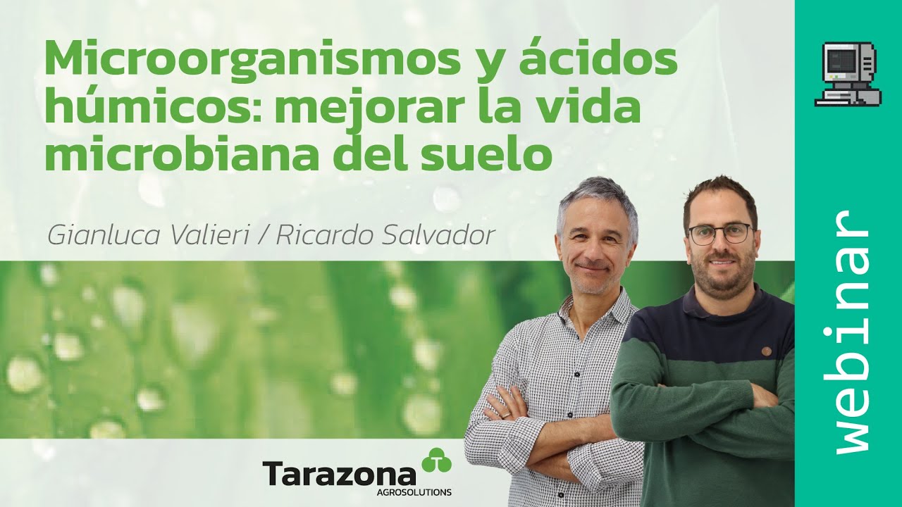 Microorganismos y ácidos húmicos: mejorar la vida microbiana del suelo