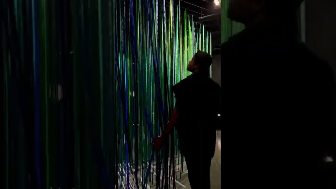 Anne Patterson's Night Woods at Color Factory Chicago