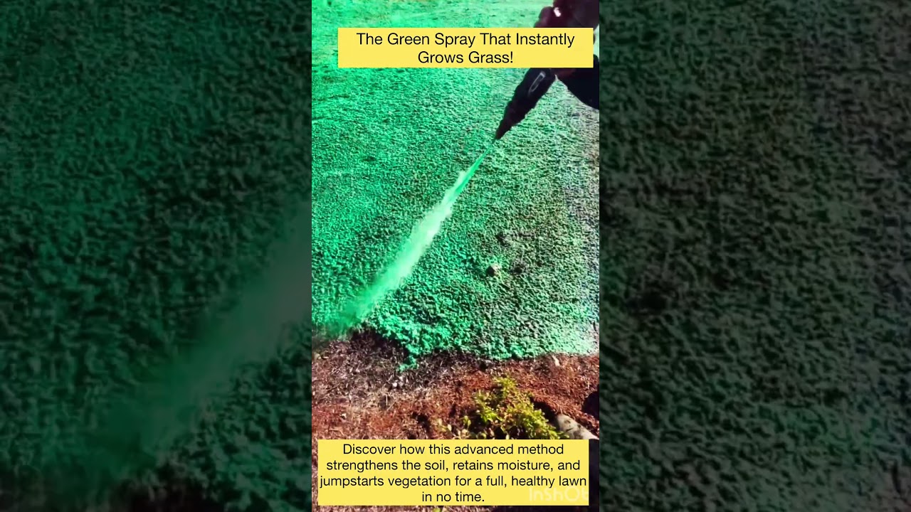 The Green Spray That Instantly Grows Grass!