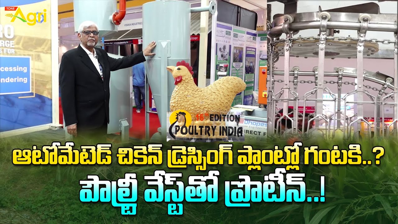 Poultry Waste Rendering Digestor | పౌల్ట్రీ వేస్ట్‌తో ప్రొటీన్..! Poultry India Expo 2024 | ToneAgri