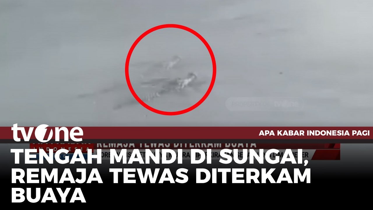 Remaja Tewas Diterkam Buaya Saat Mandi di Sungai | AKIP tvOne