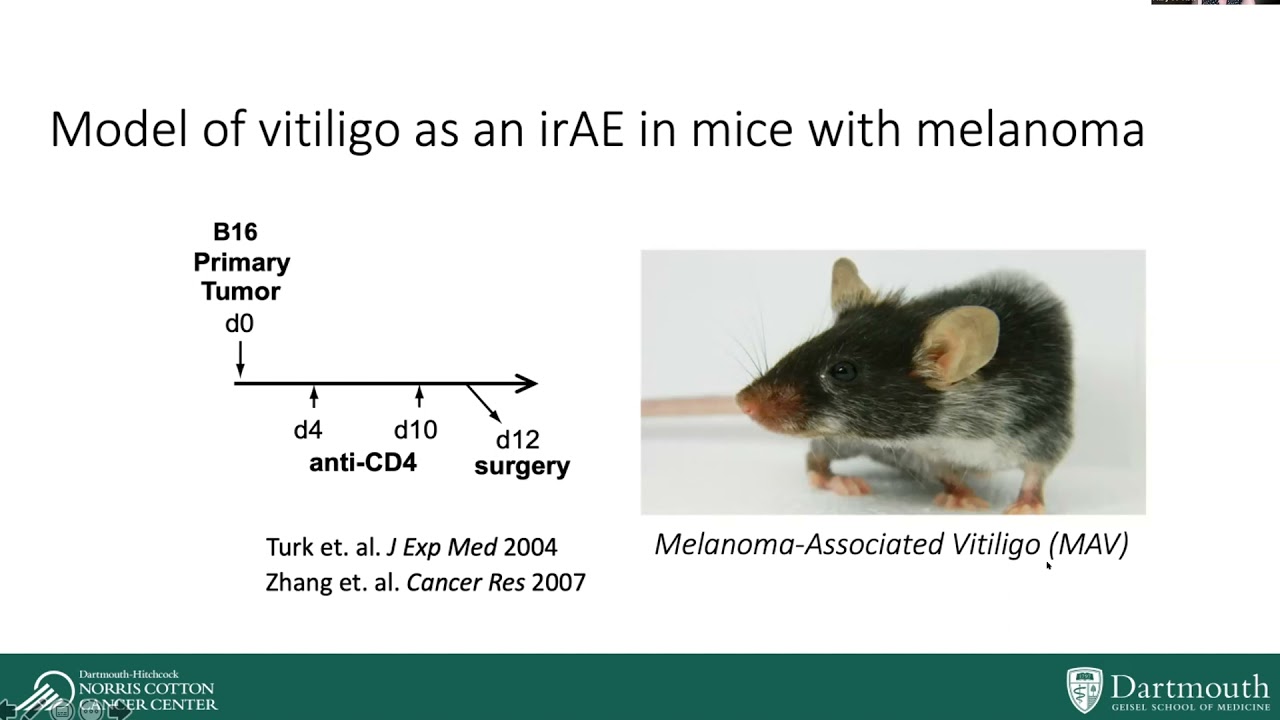 Cancer: Emerging Hallmarks and Enabling Characteristics