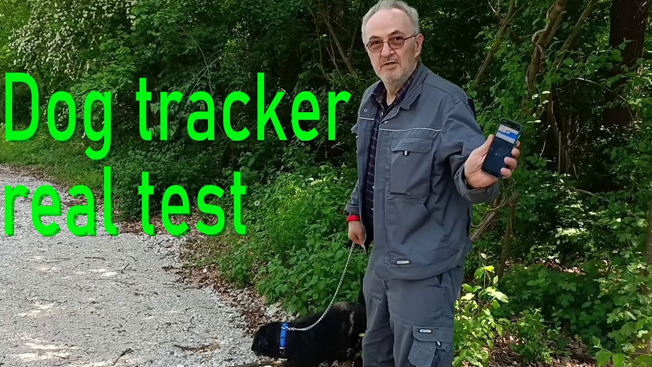 Tracker za psa - realni test - pas stvarno izgubljen i nađen