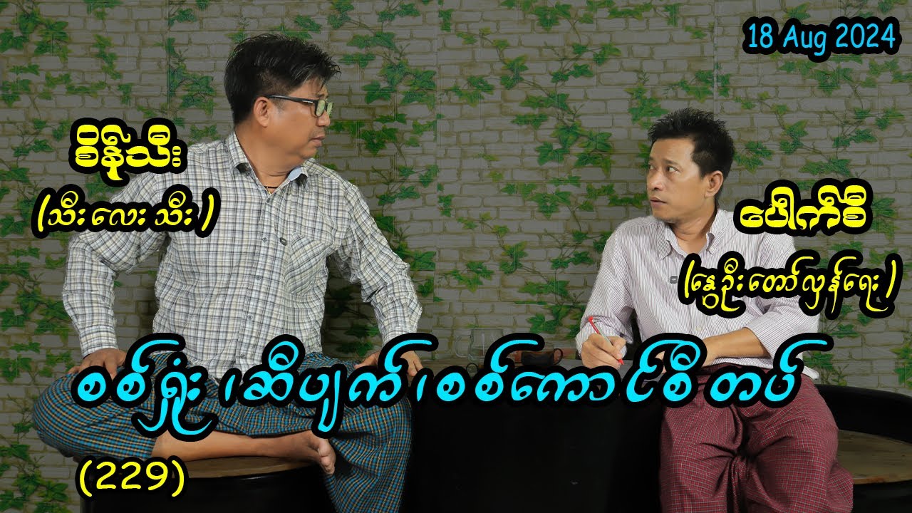 စစ်ရှုံး ၊ ဆီပျက် ၊ စစ်ကောင်စီတပ်  (229) #seinthee #revolution #စိန်သီး #myanmar
