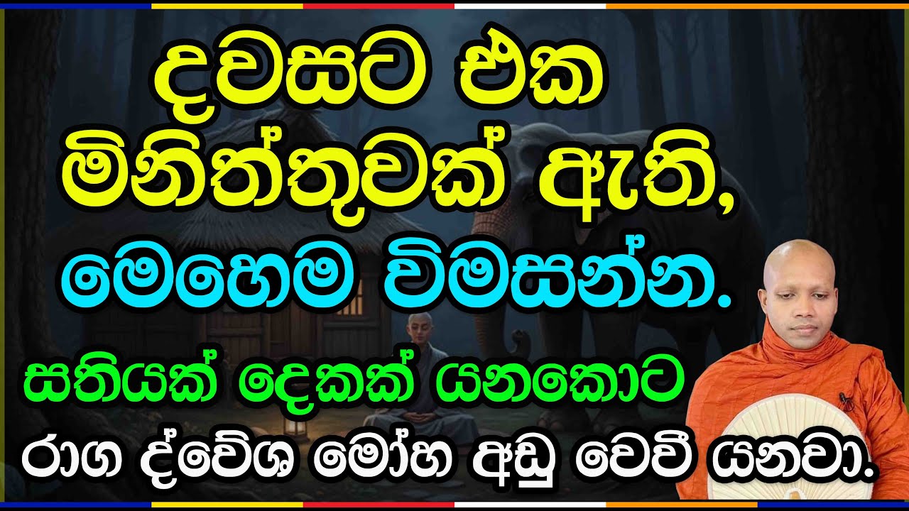 දවසට එක මිනිත්තුවක් ඇති, මෙහෙම විමසන්න.2921Ven Hasalaka Seelawimala Thero #bawana #vipassana #bana
