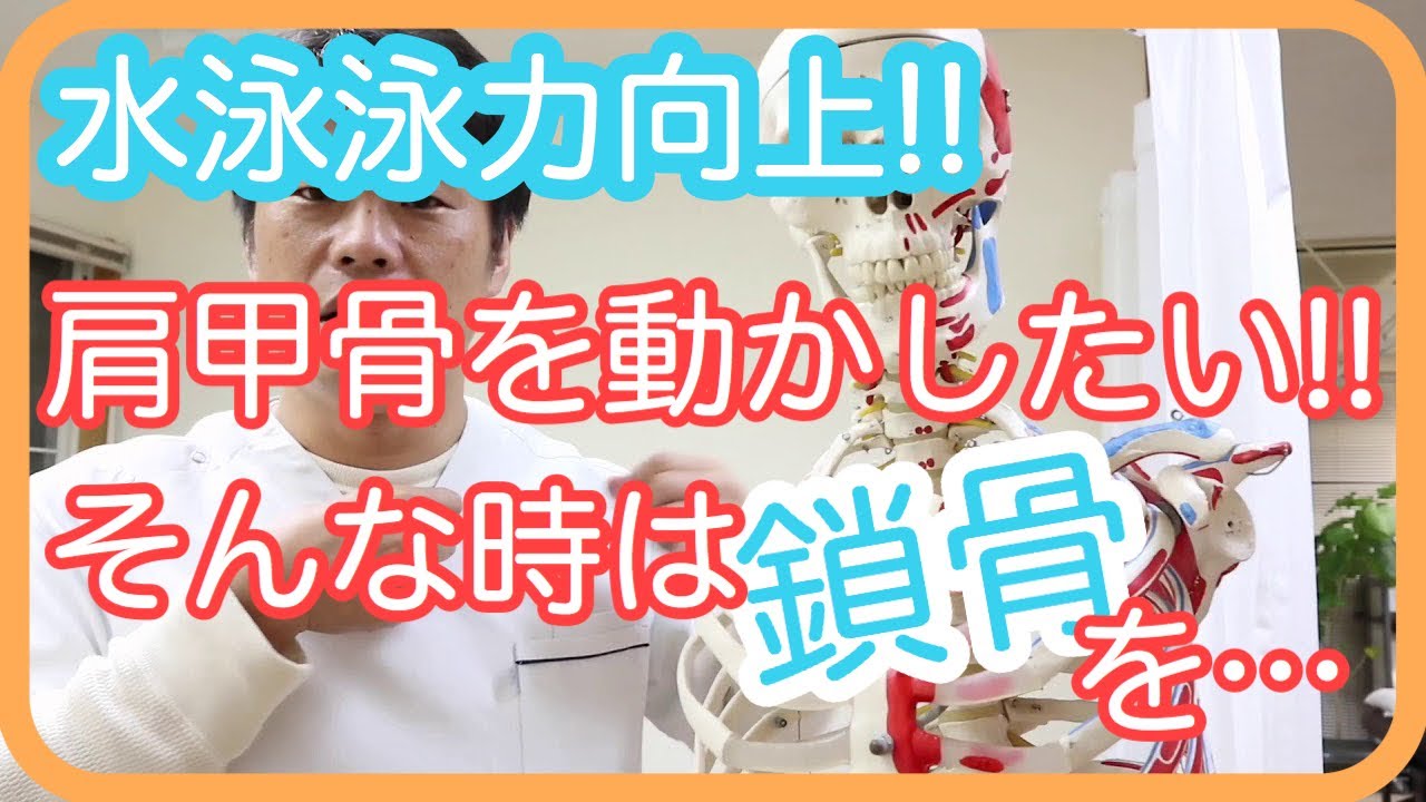 水泳【肩甲骨を動かして”かく”】ここを意識してみて下さい！